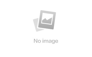 廣西壯族自治區(qū)人民政府辦公廳關(guān)于印發(fā)廣西全面統(tǒng)籌和加強(qiáng)城鎮(zhèn)市政基礎(chǔ)設(shè)施建設(shè)與融資工作助力新型城鎮(zhèn)化高質(zhì)量發(fā)展三年行動(dòng)方案的通知